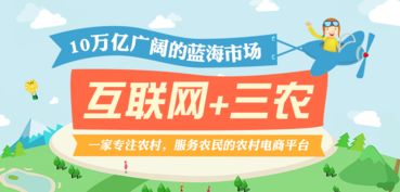 锅巴网农村电商平台功能体系及信息服务业务概述